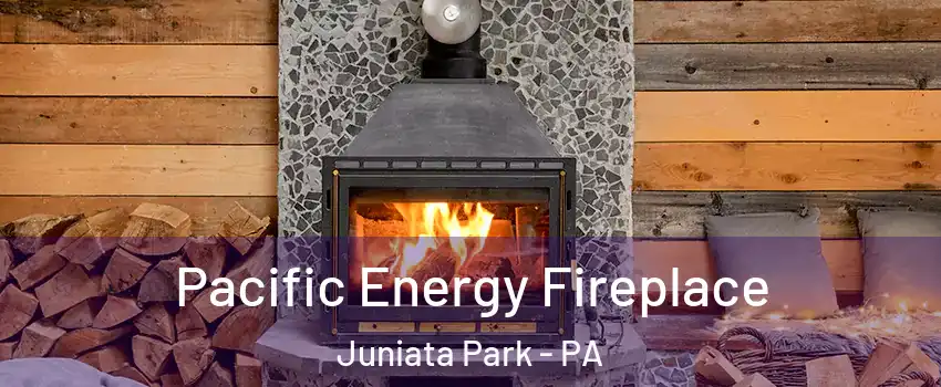 Pacific Energy Fireplace Juniata Park - PA