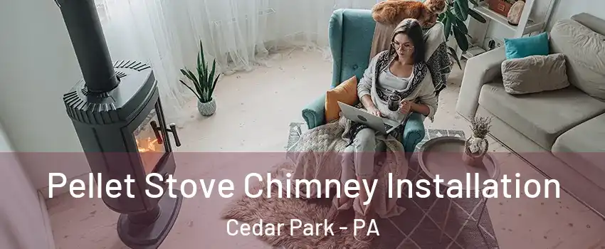 Pellet Stove Chimney Installation Cedar Park - PA