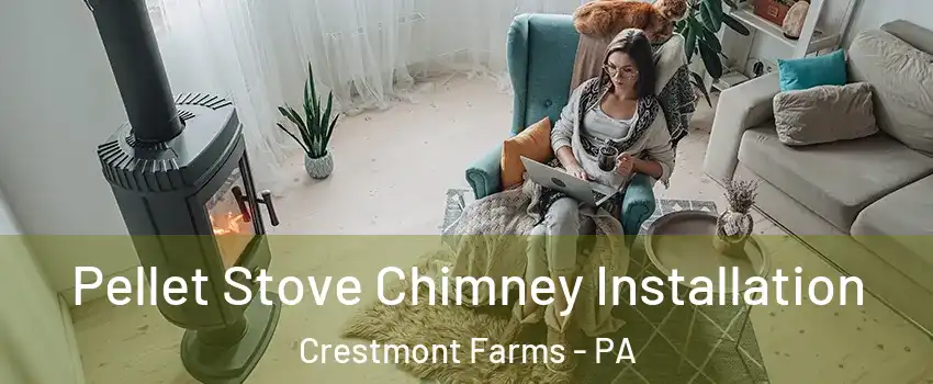 Pellet Stove Chimney Installation Crestmont Farms - PA