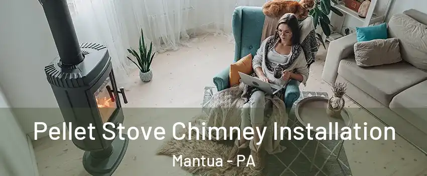 Pellet Stove Chimney Installation Mantua - PA