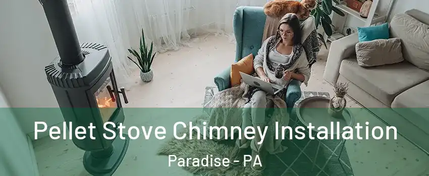 Pellet Stove Chimney Installation Paradise - PA