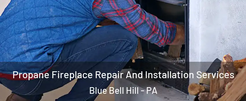 Propane Fireplace Repair And Installation Services Blue Bell Hill - PA