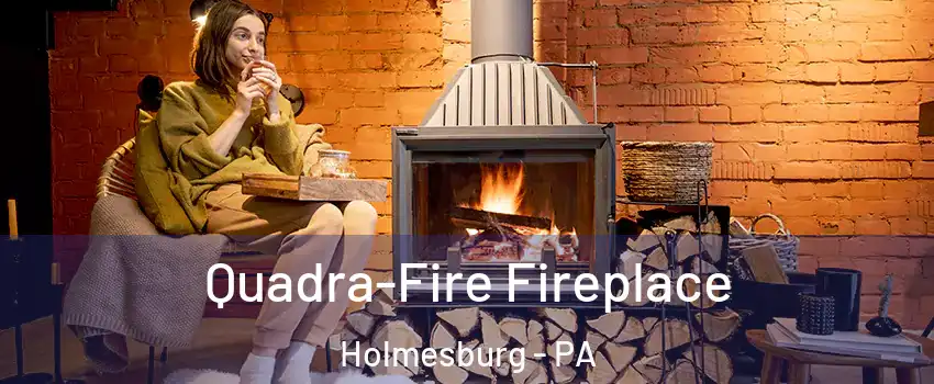 Quadra-Fire Fireplace Holmesburg - PA