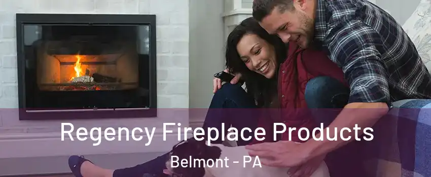 Regency Fireplace Products Belmont - PA