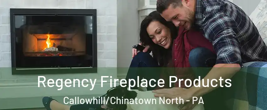 Regency Fireplace Products Callowhill/Chinatown North - PA