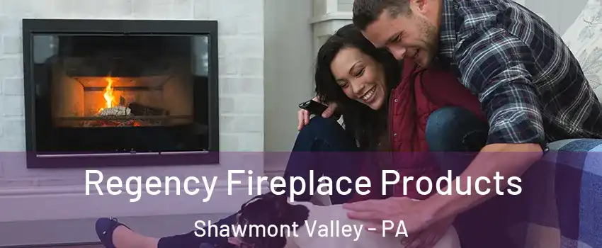 Regency Fireplace Products Shawmont Valley - PA