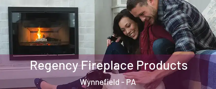 Regency Fireplace Products Wynnefield - PA