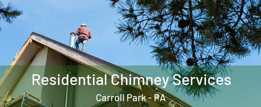 Residential Chimney Services Carroll Park - PA