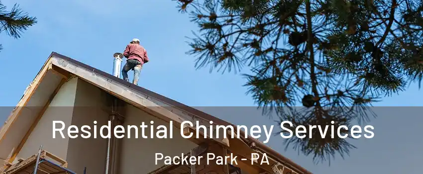 Residential Chimney Services Packer Park - PA