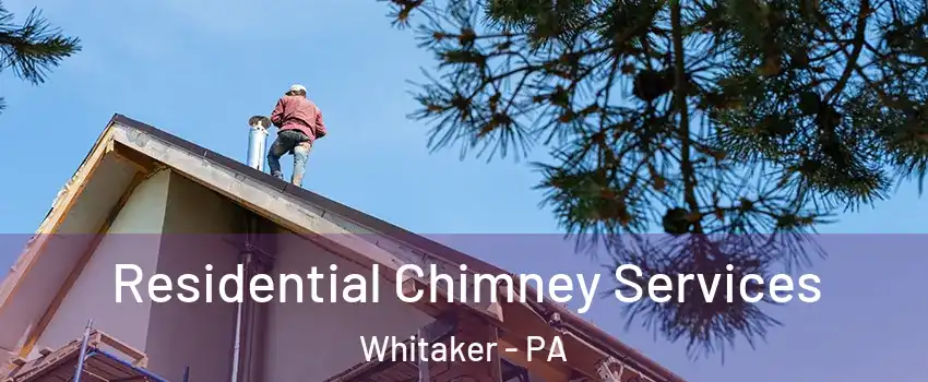 Residential Chimney Services Whitaker - PA