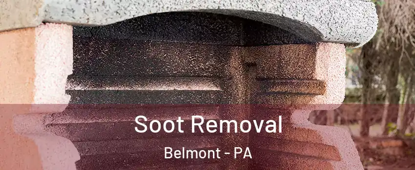 Soot Removal Belmont - PA