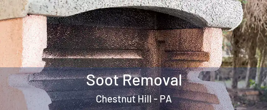 Soot Removal Chestnut Hill - PA