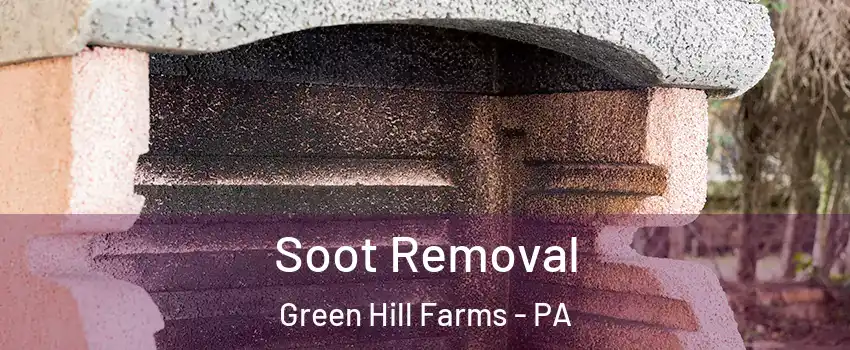 Soot Removal Green Hill Farms - PA