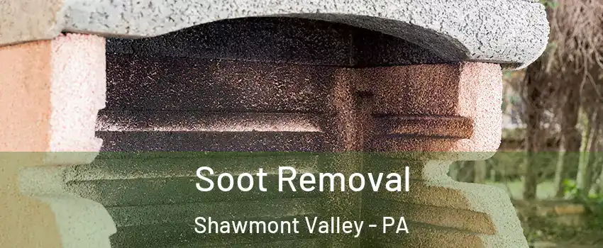 Soot Removal Shawmont Valley - PA