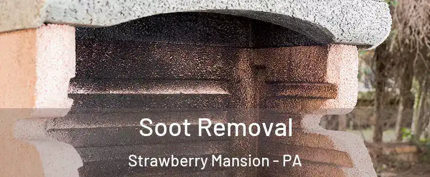 Soot Removal Strawberry Mansion - PA