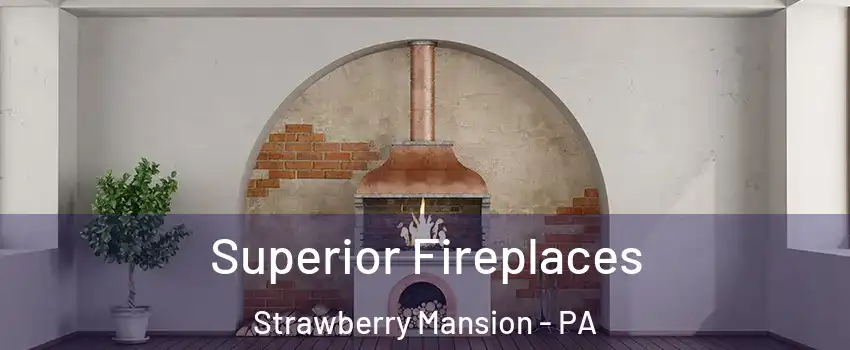 Superior Fireplaces Strawberry Mansion - PA