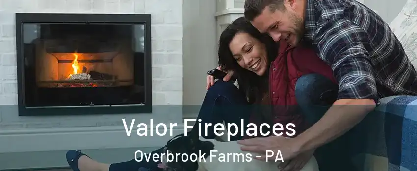 Valor Fireplaces Overbrook Farms - PA