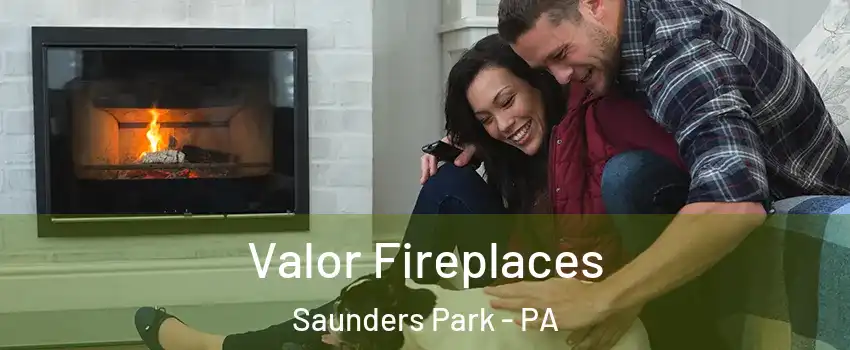 Valor Fireplaces Saunders Park - PA