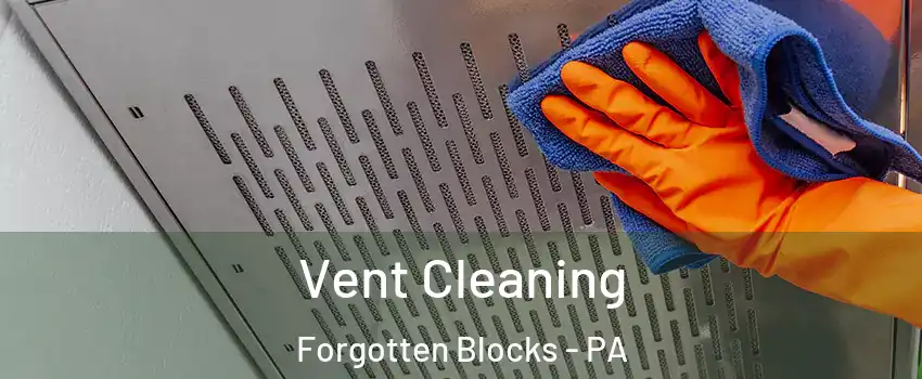 Vent Cleaning Forgotten Blocks - PA