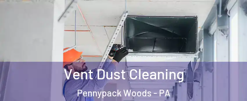 Vent Dust Cleaning Pennypack Woods - PA