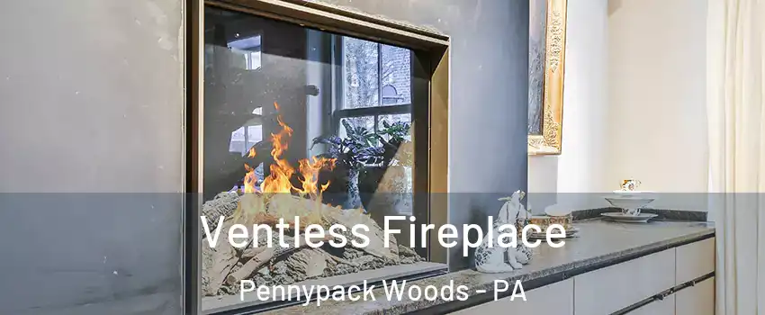 Ventless Fireplace Pennypack Woods - PA