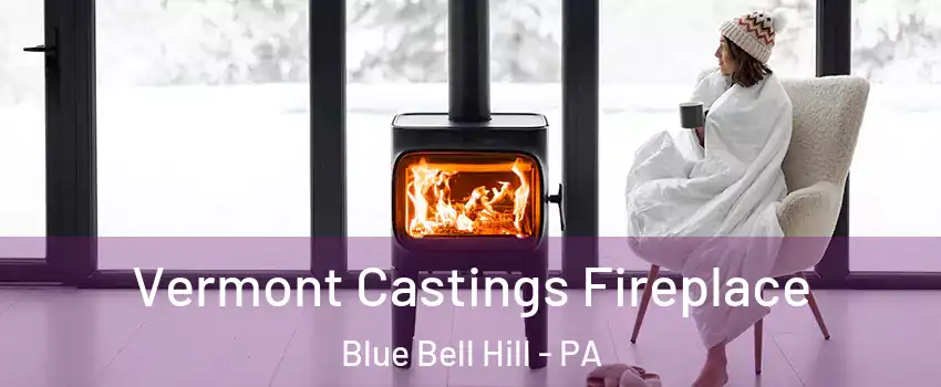 Vermont Castings Fireplace Blue Bell Hill - PA