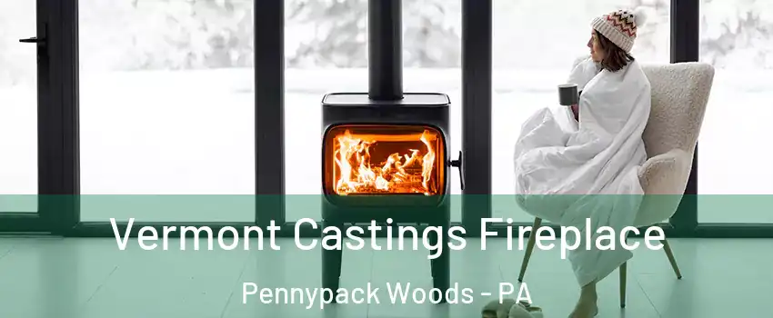 Vermont Castings Fireplace Pennypack Woods - PA