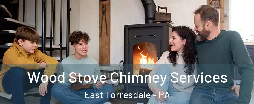 Wood Stove Chimney Services East Torresdale - PA