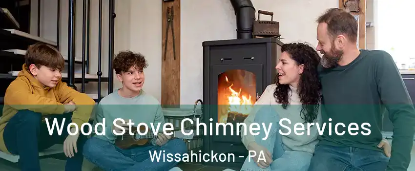 Wood Stove Chimney Services Wissahickon - PA