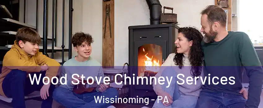 Wood Stove Chimney Services Wissinoming - PA