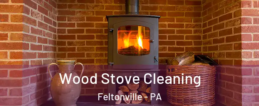 Wood Stove Cleaning Feltonville - PA