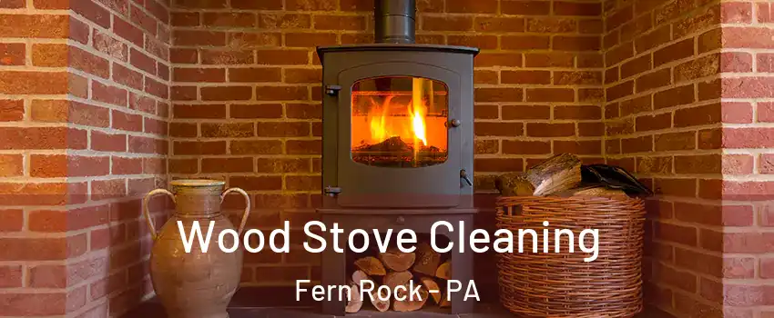 Wood Stove Cleaning Fern Rock - PA