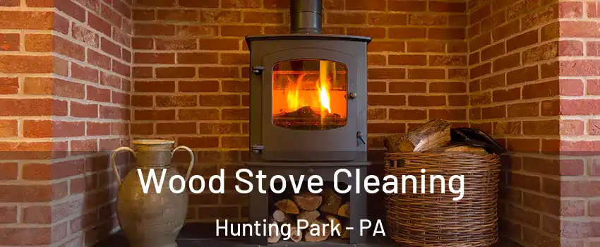 Wood Stove Cleaning Hunting Park - PA