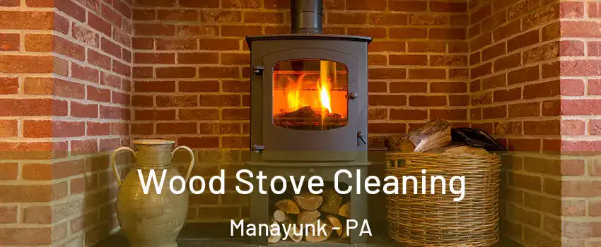 Wood Stove Cleaning Manayunk - PA