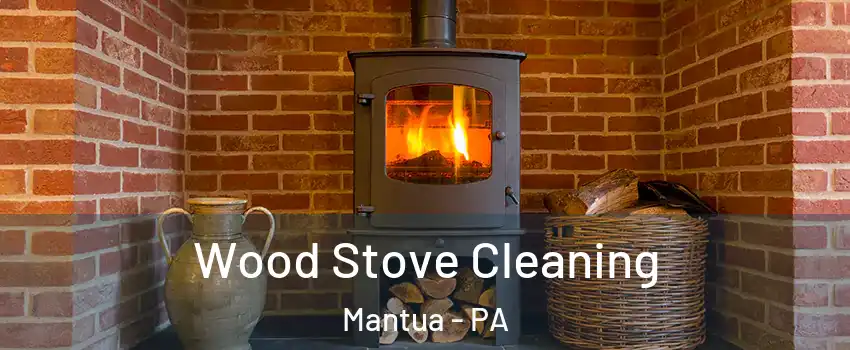 Wood Stove Cleaning Mantua - PA