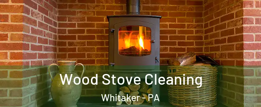 Wood Stove Cleaning Whitaker - PA