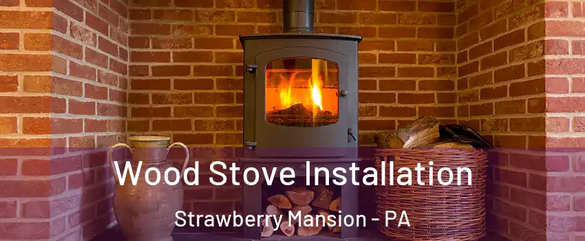 Wood Stove Installation Strawberry Mansion - PA