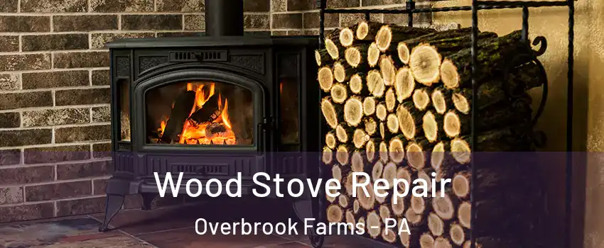 Wood Stove Repair Overbrook Farms - PA